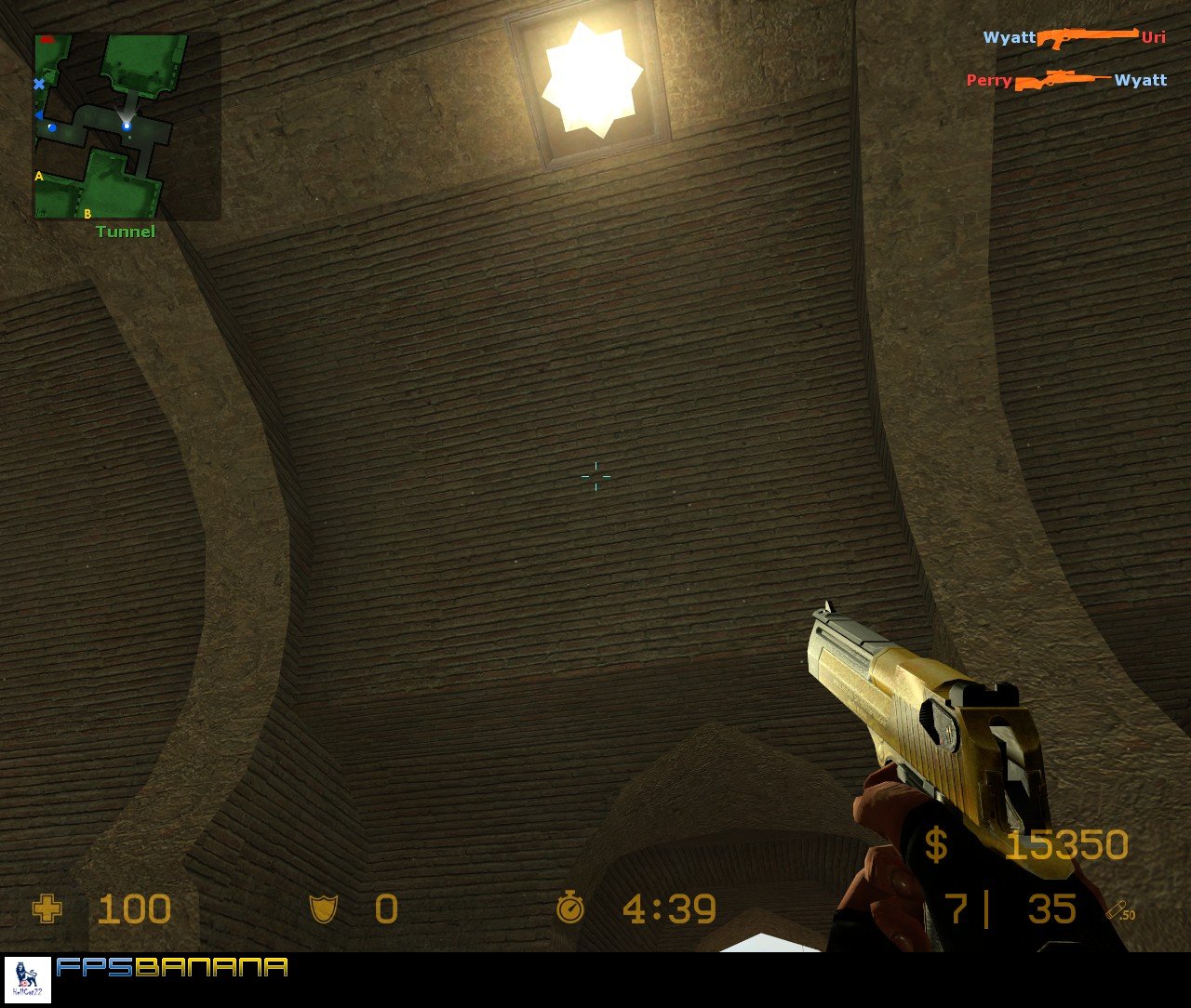 Скачать Phonged Two Tone Gold Deagle Модели Оружия для Counter Strike Source   